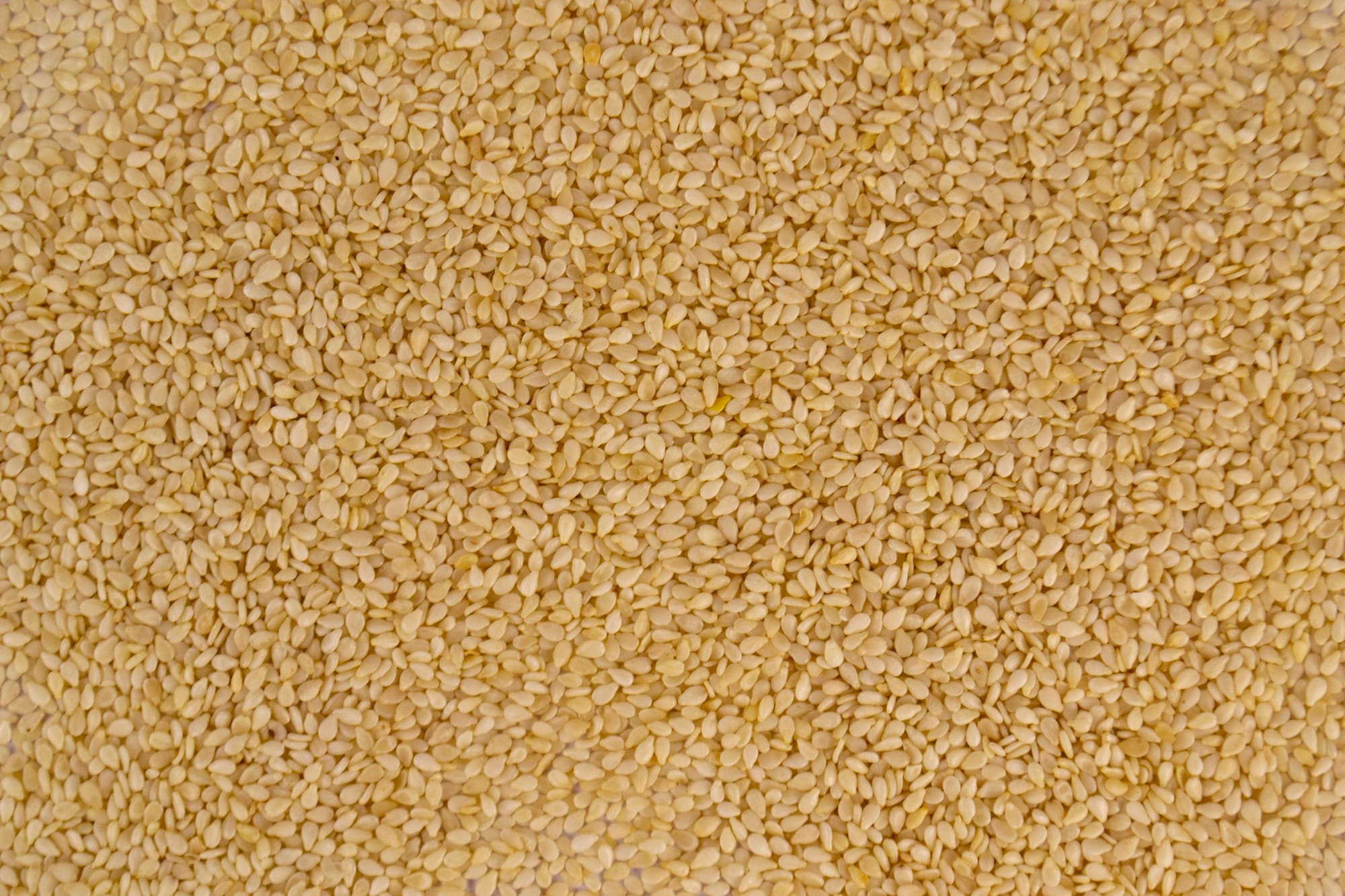 Graines de sésame blanc